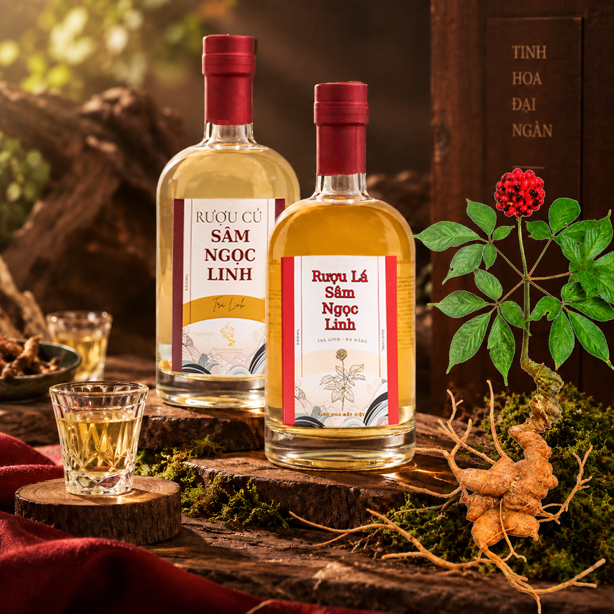 RUOU SAM 1 sửa